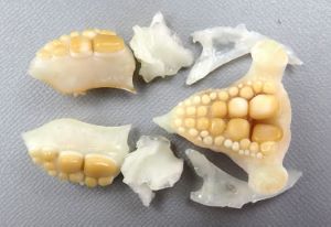 クリックで拡大表示