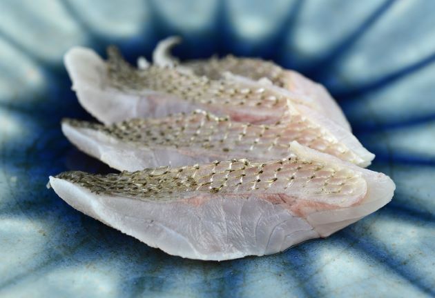 ニベ 魚類 市場魚貝類図鑑