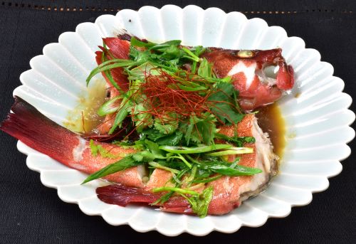 アカハタモドキ 魚類 市場魚貝類図鑑