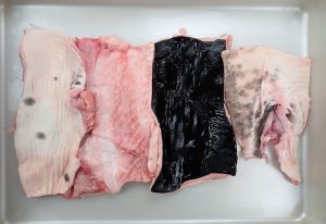 クリックで拡大表示