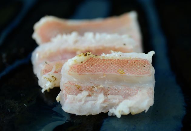 アカタチの焼霜造り