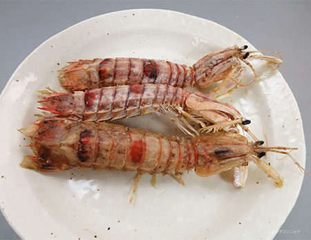 ミカドシャコの素揚げ