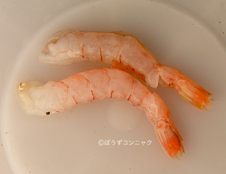 コウダカクダヒゲエビの刺身