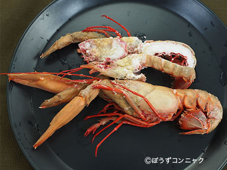 茹でオキナエビ