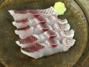 クリックで拡大表示 オゴダイの皮霜造り