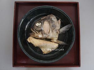 クリックで拡大表示