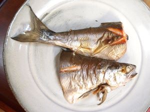 ヒメマス 魚類 市場魚貝類図鑑 ヒメマス 魚類 市場魚貝類図鑑