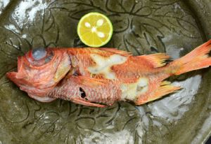 クリックで拡大表示