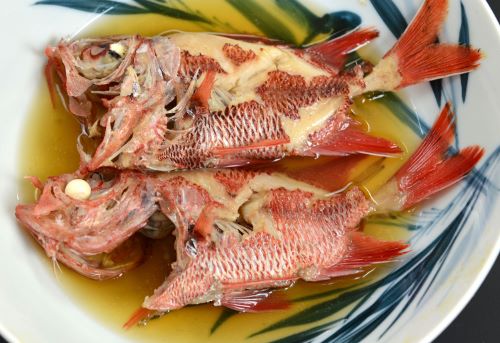 アカマツカサ 魚類 市場魚貝類図鑑 アカマツカサ 魚類 市場魚貝類図鑑