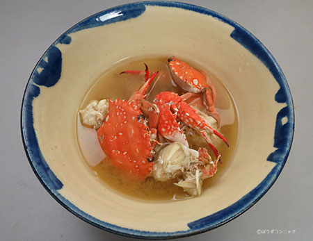 アカイシモドキのみそ汁