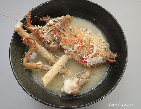 テナガオオホモラのみそ汁