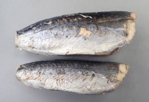ヒラソウダ 魚類 市場魚貝類図鑑