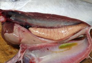 クリックで拡大表示