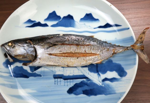 ヒラソウダ (ソウダガツオ) | 市場魚貝類図鑑
