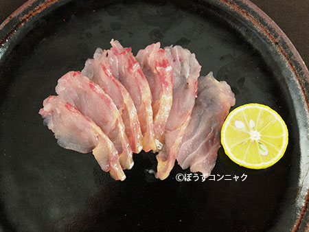 イワトコナマズの刺身