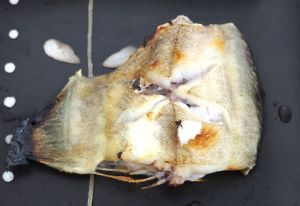 クリックで拡大表示