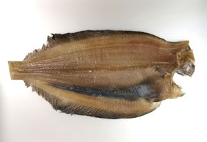 クリックで拡大表示