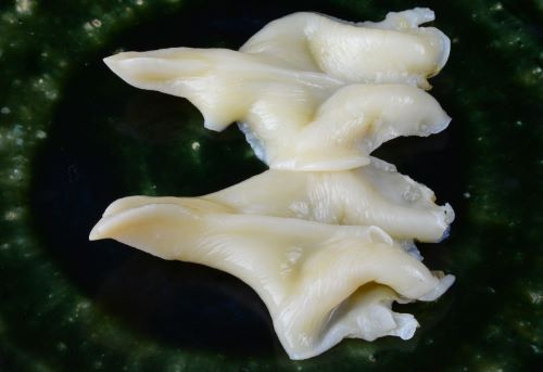 クリックで拡大表示