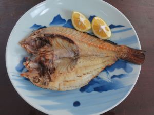 ブダイ 魚類 市場魚貝類図鑑