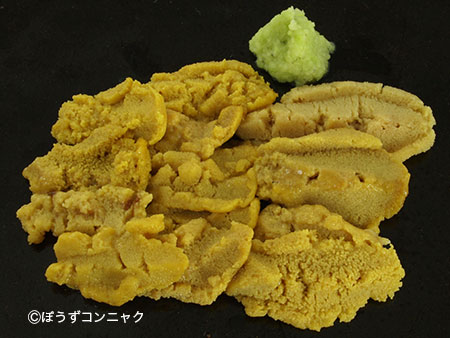 ガンガゼ その他生物 市場魚貝類図鑑