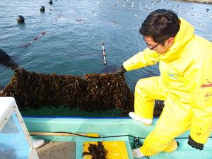 クリックで拡大表示