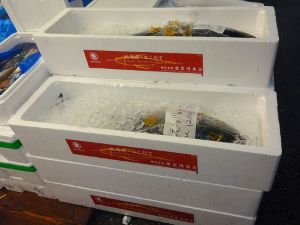 クリックで拡大表示