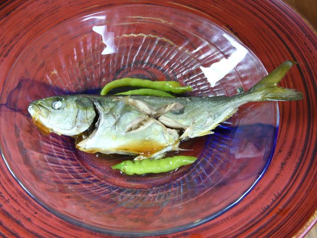 ブリ 魚類 市場魚貝類図鑑 ブリ 魚類 市場魚貝類図鑑