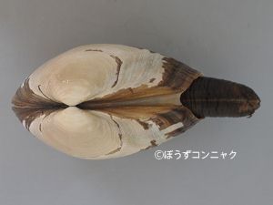 クリックで拡大表示