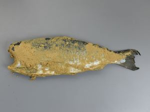 クリックで拡大表示