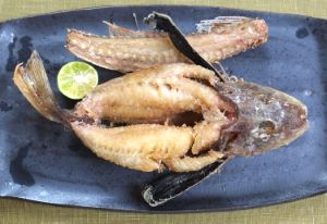 クリックで拡大表示