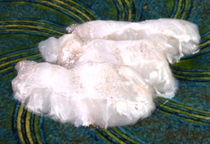 クリックで拡大表示