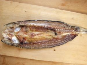 ボラ 魚類 市場魚貝類図鑑