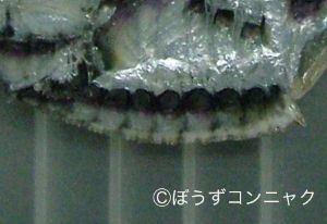 クリックで拡大表示