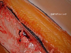 クリックで拡大表示