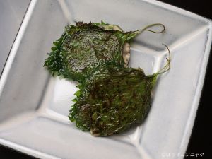 クリックで拡大表示 マアジのさんが焼き