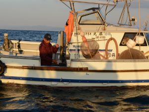 クリックで拡大表示 沼島のマアジの一本釣り