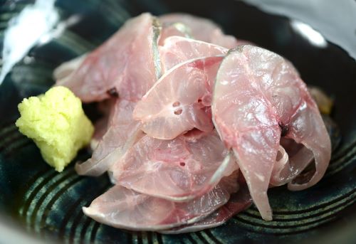 マアジ 魚類 市場魚貝類図鑑