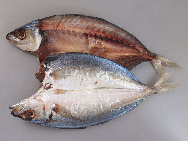 マアジ 魚類 市場魚貝類図鑑