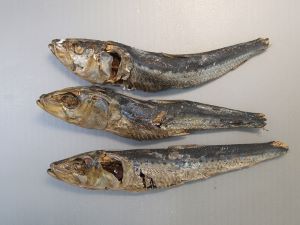クリックで拡大表示