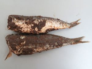 クリックで拡大表示