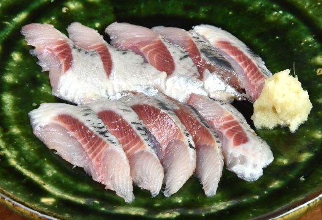 千葉県銚子産の大羽鰯