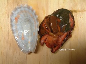 クリックで拡大表示