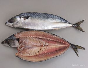 クリックで拡大表示 塩サバ