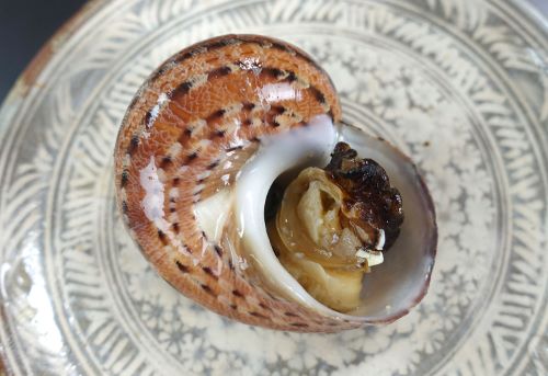 クリックで拡大表示