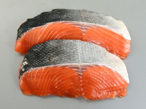 マスノスケ キングサーモン 市場魚貝類図鑑