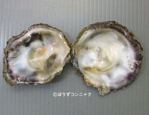 クリックで拡大表示