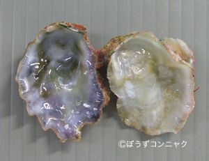 クリックで拡大表示