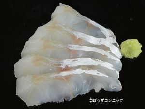 クリックで拡大表示 マダラの刺身