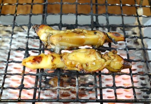 クリックで拡大表示
