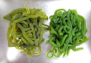 クリックで拡大表示